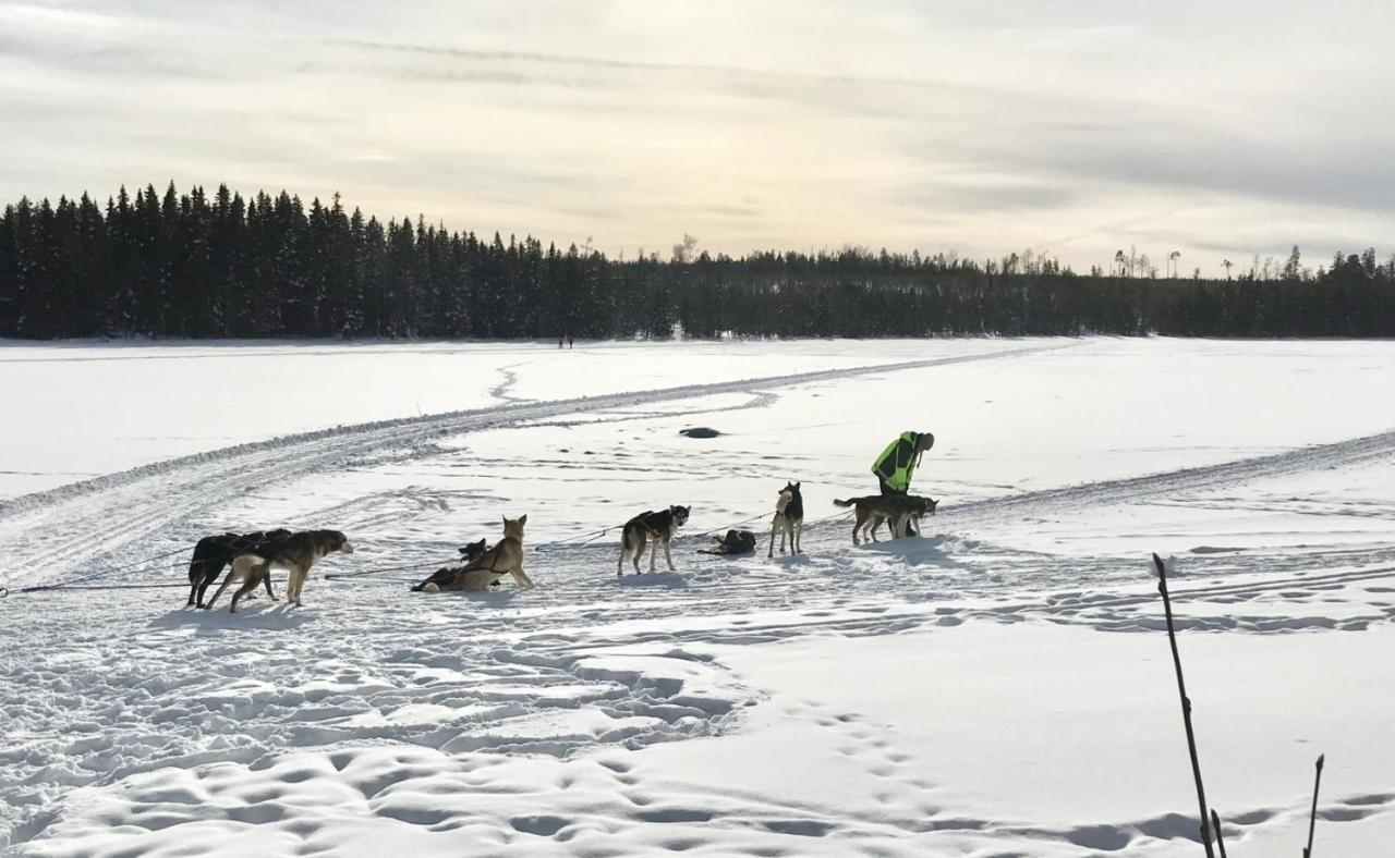 Symaskinshuset Jaervsoe Экстерьер фото
